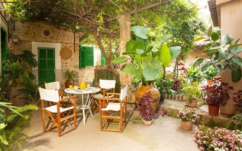 Sóller: Olive Oil Guided Tour and Tasting at Can Det Estate - Inside the 400-year-old Can Det house and its garden