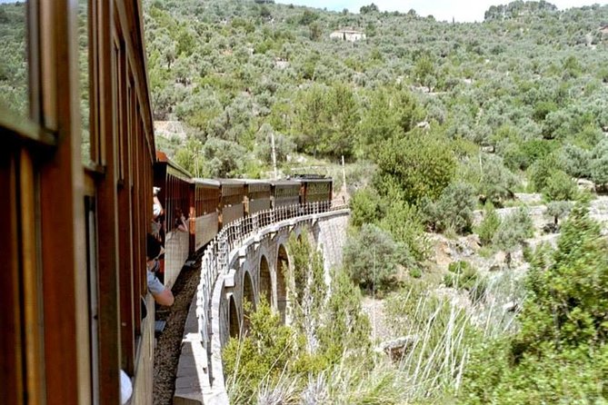 Soller Port with Train and Tram Mallorca Half Day Trip - Key things I’d put on your radar