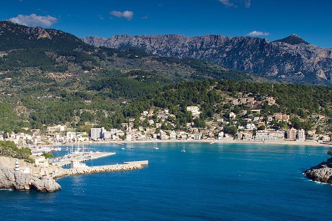 Soller Port with Train and Tram Mallorca Half Day Trip - Price and value: what $70.97 really buys you
