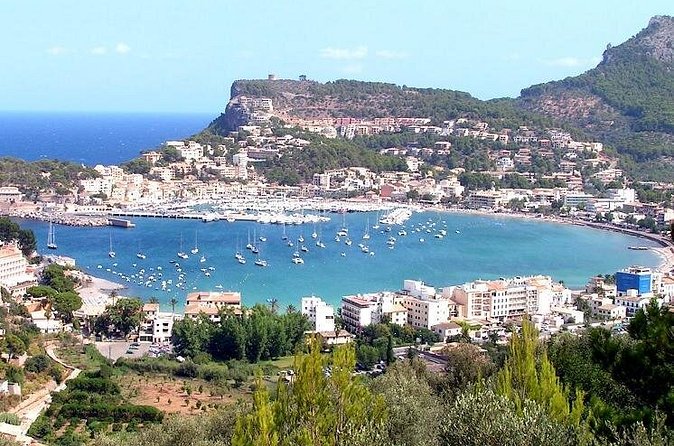 Soller Port with Train and Tram Mallorca Half Day Trip - Port de Sóller: sea air, orange blossoms, and promenade wandering