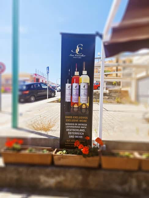 Son Cavaller - Tasting 10 wines from Mallorca - Vinothek Cala Mandia - Key highlights at a glance