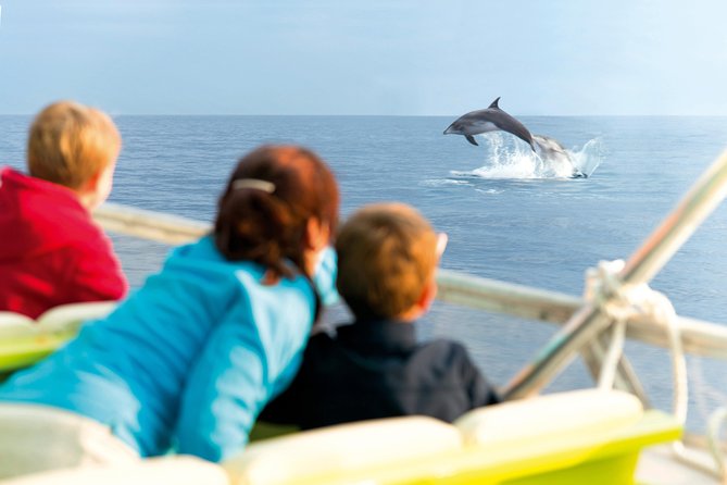 Sunrise Boat Trip in Mallorca with Dolphin-Watching - Dolphin Watching Without the Hype: What You Can Expect