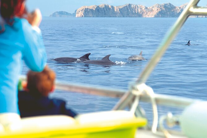 Sunrise Boat Trip in Mallorca with Dolphin-Watching - Breakfast at Sea: What’s Included and How Filling It Feels