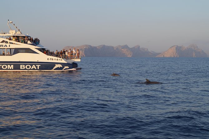 Sunrise Boat Trip in Mallorca with Dolphin-Watching - Price and Value: Is $74.49 Worth It?