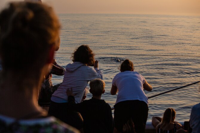 Sunrise Boat Trip in Mallorca with Dolphin-Watching - Who This Trip Fits Best (and Who Should Pick Another Option)