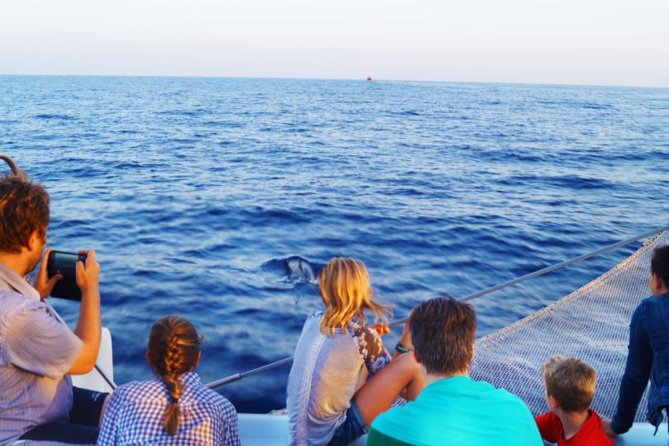 Sunrise Boat Trip in Mallorca with Dolphin-Watching - The Route: From Port d’Alcúdia Toward Cap de Formentor