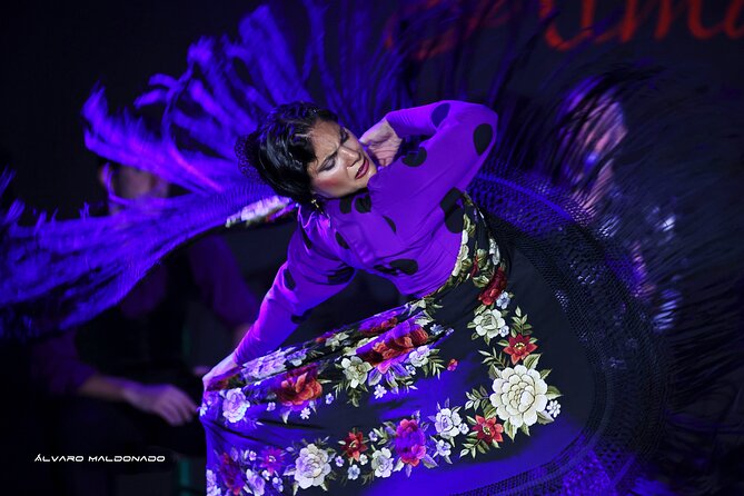 Tablao Flamenco Alma - Live Flamenco Show - How the 50 to 60 minutes run: singing, guitar, dance, and cues