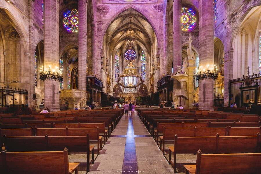 The Best of Palma: Boat trip, Walking tour and Cathedral - Why this 3.5-hour Palma day feels like a smart plan