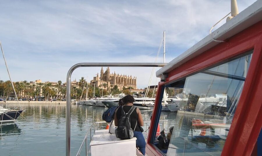 The Best of Palma: Boat trip, Walking tour and Cathedral - Who this day trip suits best (and who should rethink it)