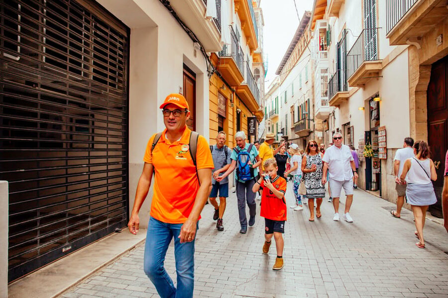 The Best of Palma: Boat trip, Walking tour and Cathedral - Price and what you’re actually getting for $46