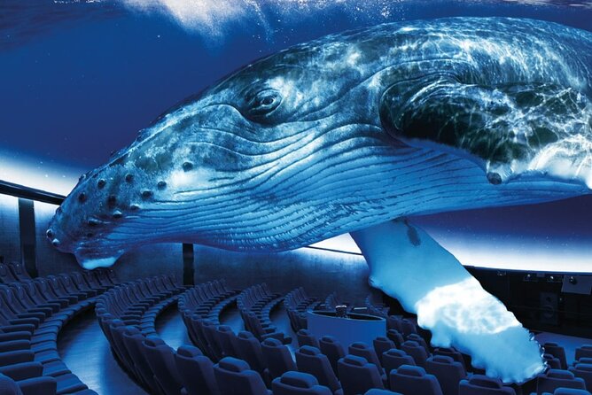 Ticket Palma Aquarium - Key Highlights You’ll Actually Care About