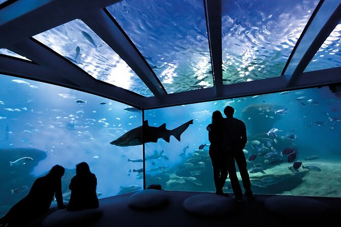 Ticket Palma Aquarium - Entering Palma Aquarium Fast from Platja de Palma