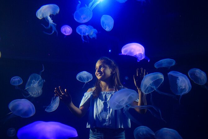 Ticket Palma Aquarium - Who This Ticket Is Best For (And Who Might Skip It)