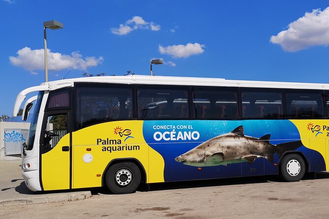 Ticket + Transfer to Palma Aquarium - Key points before you go