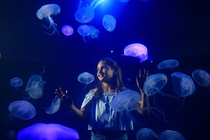 Ticket + Transfer to Palma Aquarium - Stop 1: Palma Aquarium Highlights Worth Your Time