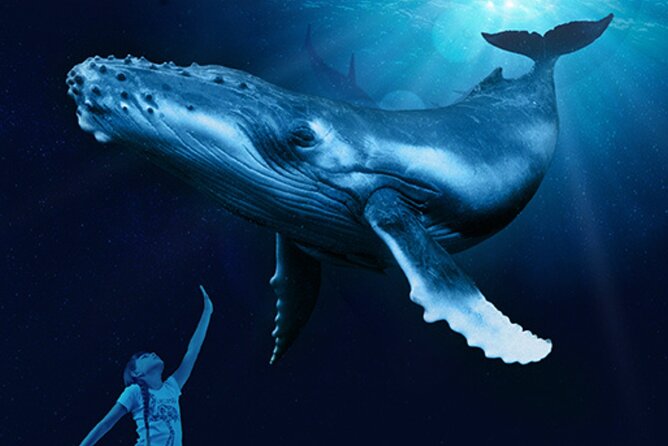 Ticket + Transfer to Palma Aquarium - Value Check at $54.79: Is This a Smart Deal?