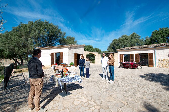 Tour to olive grove and olive mill, oil tasting and snack - Price and value: what $59.64 buys you on Mallorca