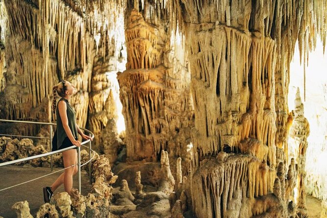 Tour to the Drach Caves from the south of the island - Key Highlights You’ll Actually Feel