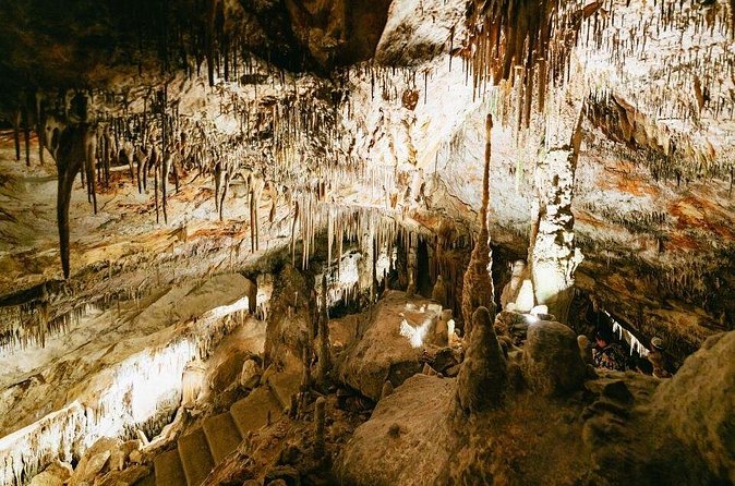 Tour to the Drach Caves from the south of the island - The Wizard of Light and Lake Martel: The Part You’ll Remember