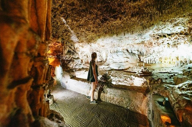 Tour to the Drach Caves from the south of the island - English on the Day: What to Expect From the Guide