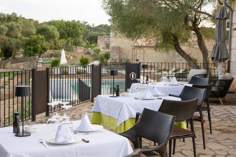 Treurer: Olive Oil Night. Gastronomic experience - Treurer EVOO: What Olive Oil Night Is Really About