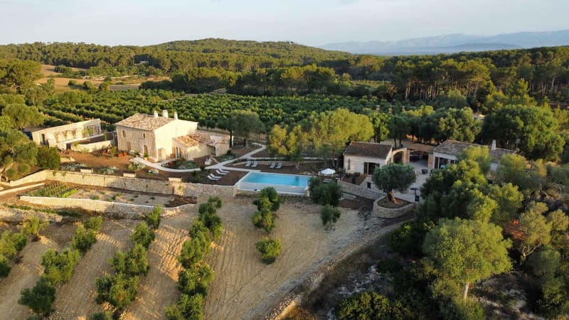 Treurer: Olive Oil Night. Gastronomic experience - From Arrival to the Mill Tour: Your First 45 Minutes