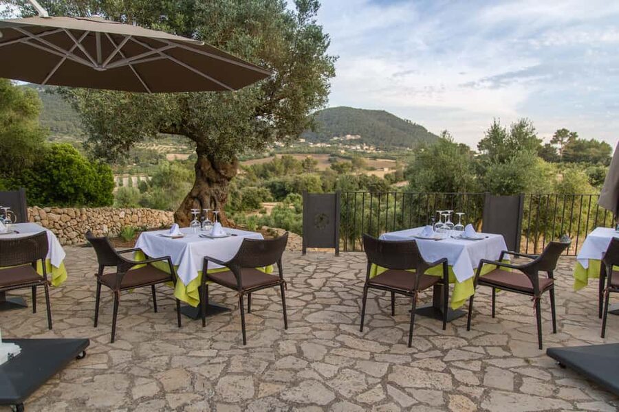 Treurer: Tapas Gourmet and Extra Virgin Olive Oil - Language and guide style: you can follow along