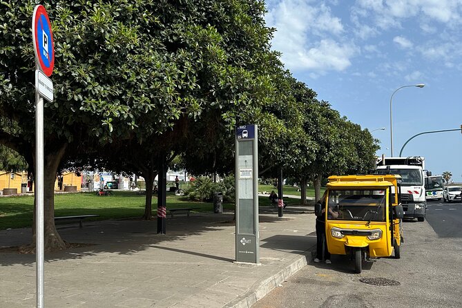 Tuk Tuk Tour in Palma de Mallorca - Admissions reality check: what’s free versus what costs extra