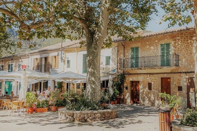 Valdemossa Half Day Tour - Key takeaways before you go