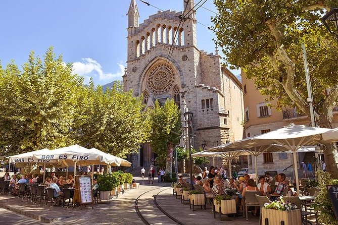 Valdemossa Half Day Tour - Luxury bus transfers from Palma: comfort, group size, and pacing