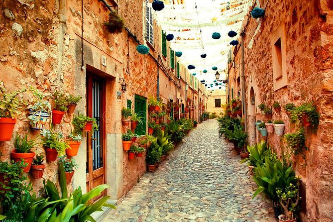 Valdemossa Half Day Tour - Making the most of Valldemossa without getting lost