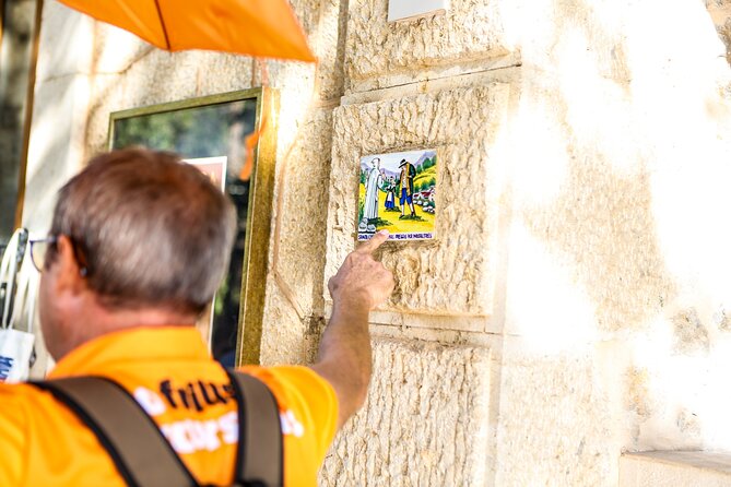 Valldemosa and Valley of Soller Tour in Mallorca - The Tramuntana-to-Sóller transition: orange-and-lemon country in the middle of your day