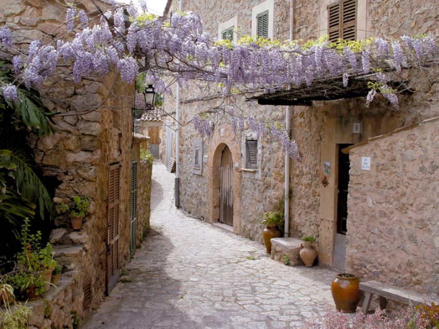 Valldemossa: Discover Valldemossa with a transfer from Palma - Key things to know before you go