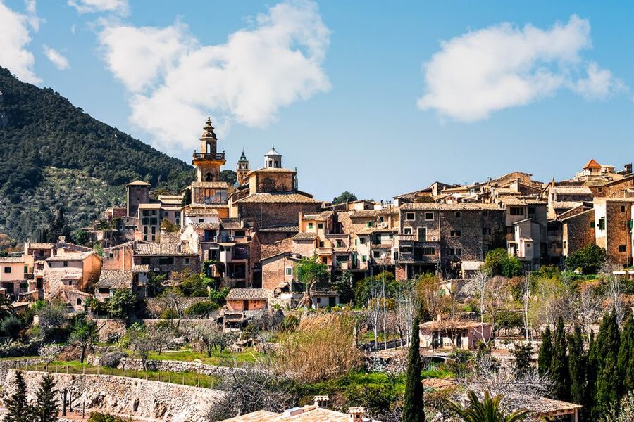 Valldemossa: Discover Valldemossa with a transfer from Palma - Valldemossa and Palma: a smart way to spend an afternoon
