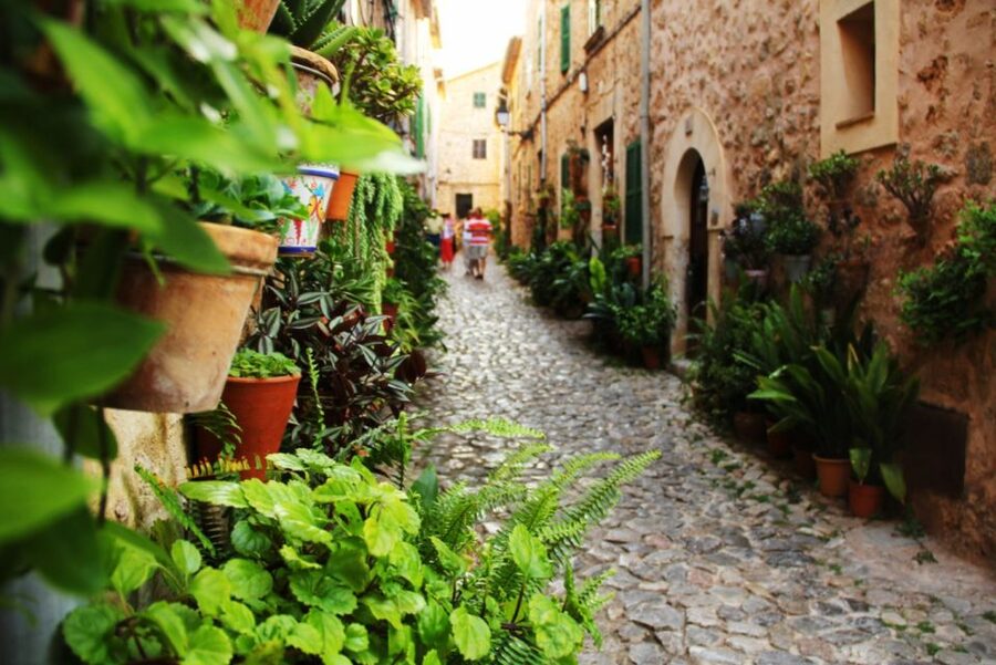Valldemossa: Discover Valldemossa with a transfer from Palma - Free time in Valldemossa: the hour to do it your way