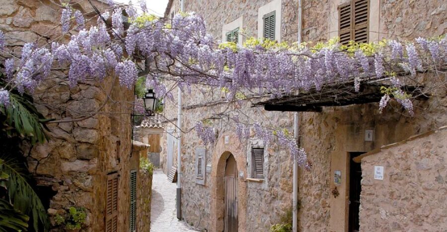 Valldemossa: Discover Valldemossa with a transfer from Palma - The Palma departure: timing that works (and a clear meeting point)