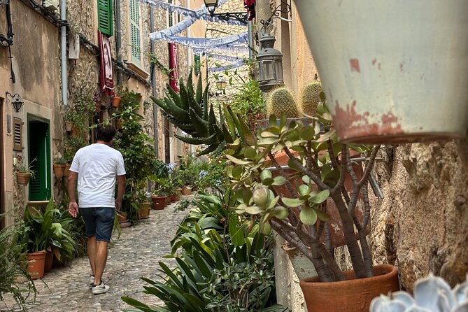 Valldemossa Tour and its Most Beautiful Viewpoints Easy Hike - The Possible Deia Stop: Why It Works If Time Allows