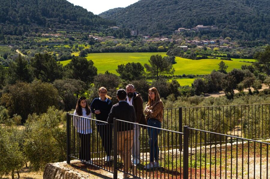 Visit of the olive grove, olive oil tasting and snack - Should You Book This Treurer EVOO Experience?