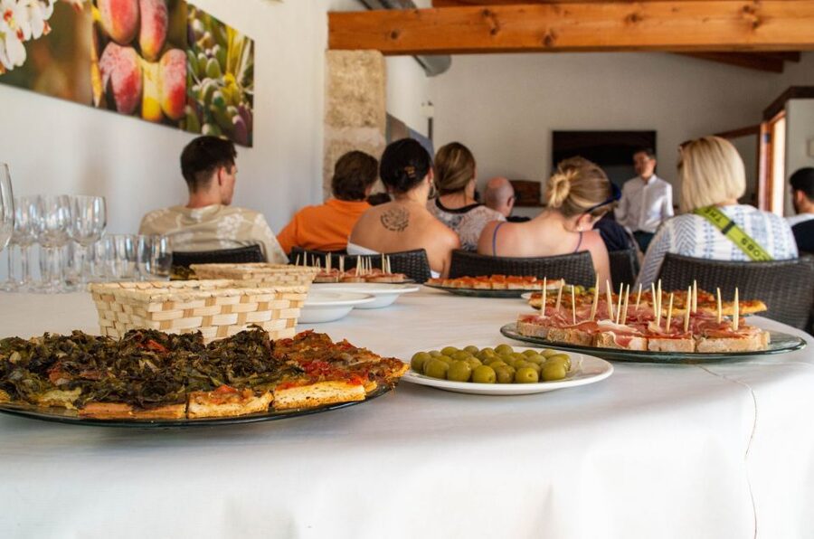 Visit of the olive grove, olive oil tasting and snack - The Olive Grove Walk: Why a Healthy Olive Starts Everything