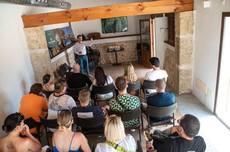 Visit of the olive grove, olive oil tasting and snack - Snack Time and Mallorcan Wine: Learning Meets Food