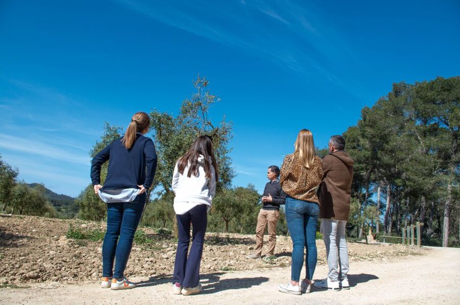 Visit of the olive grove, olive oil tasting and snack - Who Should Book This Treurer EVOO Visit?