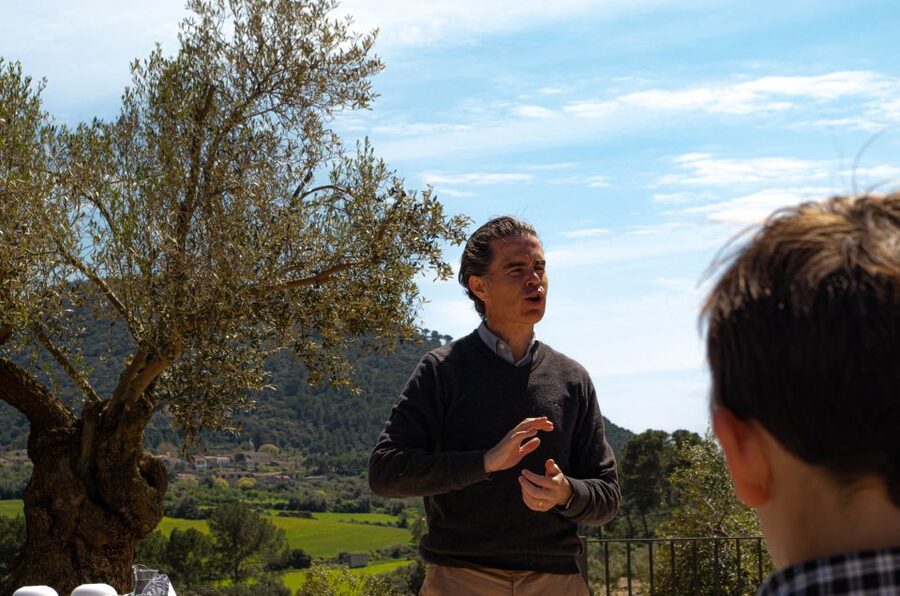 Visit of the olive grove, olive oil tasting and snack - A Smooth 11:00 Start at Treuré (and What to Expect Timing-Wise)