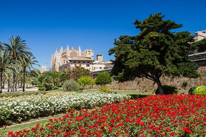 Visit Palma and Valldemossa - Key highlights worth knowing