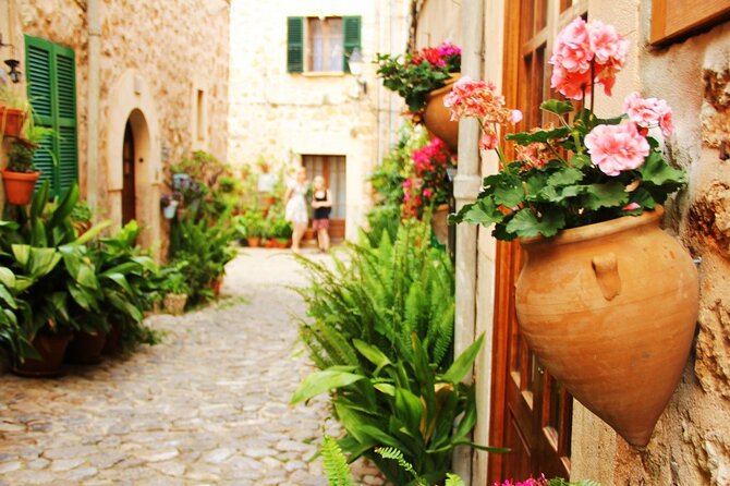 Visit Palma and Valldemossa - Palma Sightseeing by Cathedral Area: Fast Foot Time, Clear Drop-Offs