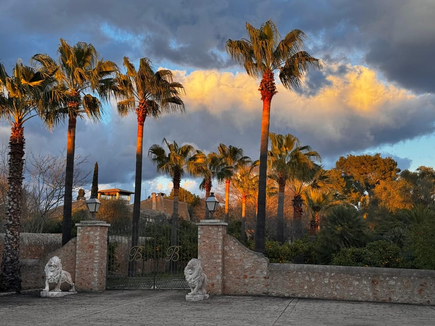 Weinsonntag auf Mallorca - Key Points Before You Go