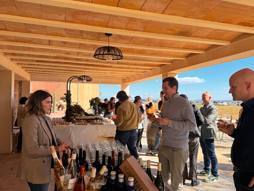 Weinsonntag auf Mallorca - Sunday Wine Sundays: A Relaxed Mallorca Winery Evening