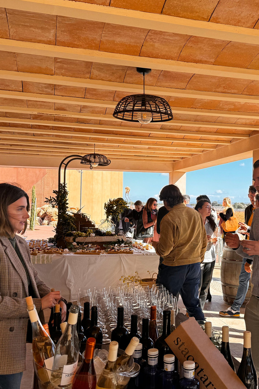 Weinsonntag auf Mallorca - Live Music: Background Local Performers, Not a Full Show