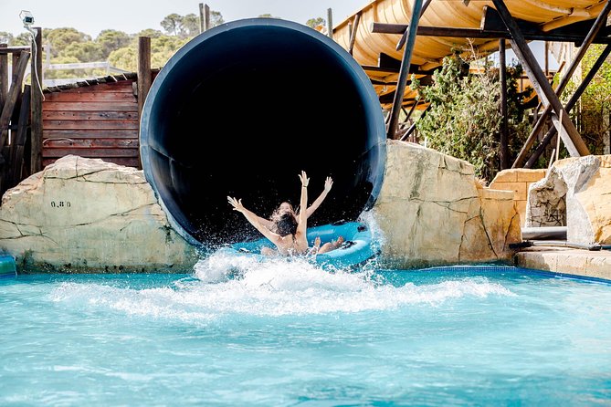 Western Water Park Day Trip from Mallorca - The Western Divers Show: synchronized jumps up to 30 metres