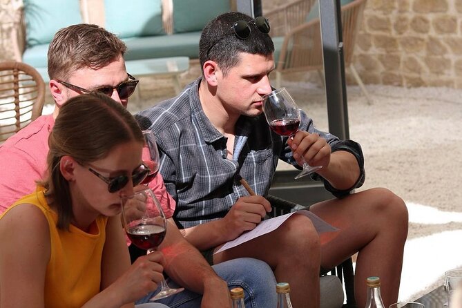Wine tasting with wines from the smallest wineries in Mallorca - Tips to get the most from your tasting